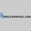 SJ Mold Removal